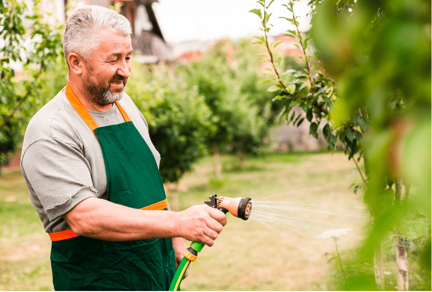 como regar árvores de fruto