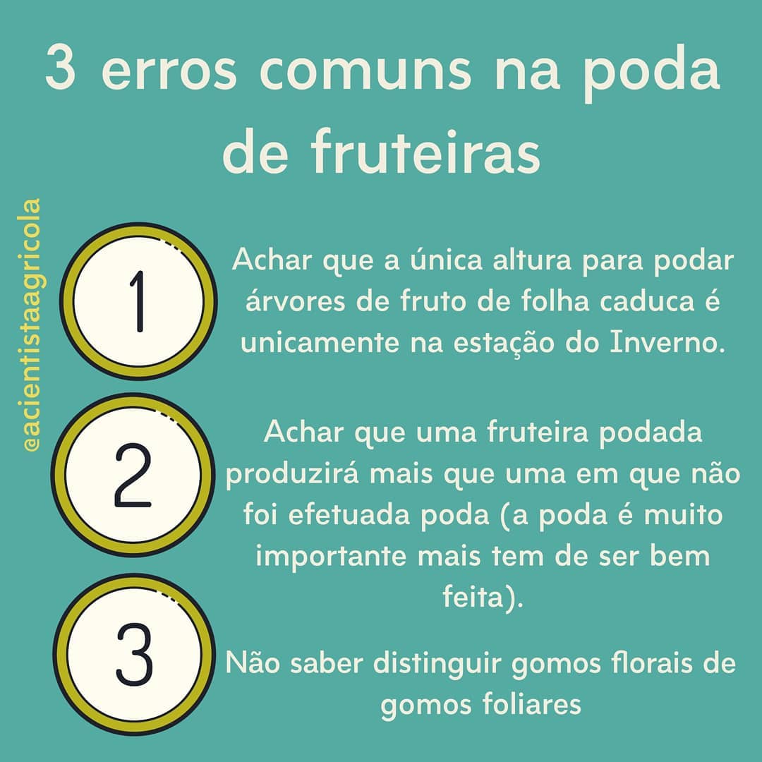 principais erros da poda de fruteiras