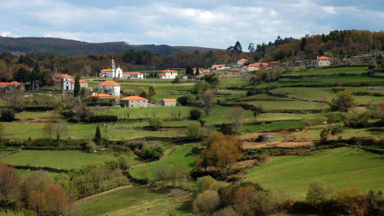 Sabe mais sobre a produção agrícola em Portugal: um resumo