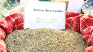 quais são as melhores ervas de provence para cultivar em vasos