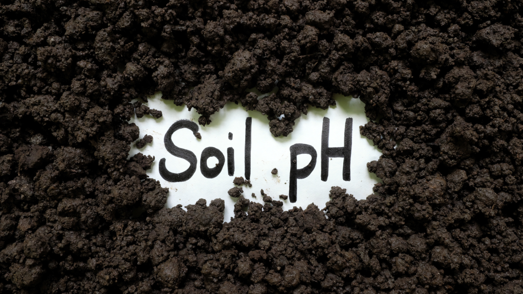 O que é pH do solo