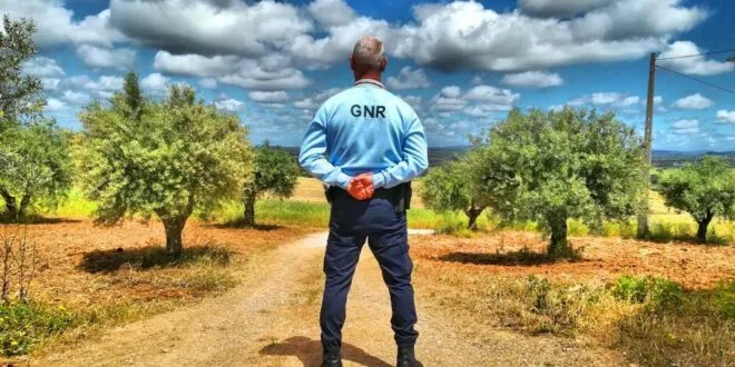 GNR recupera mais de 800 quilos de cortiça furtada em Viana do Alentejo