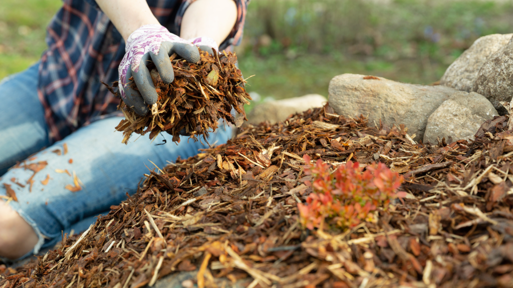 mulching