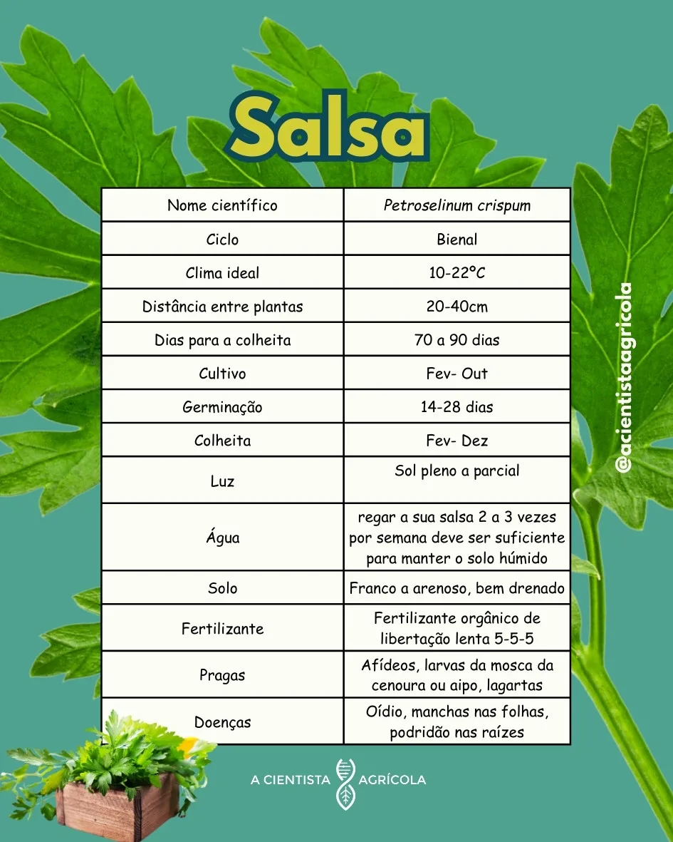 cultivar salsa