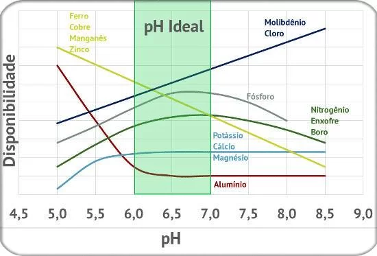 pH do solo disponibilidade de nutrientes