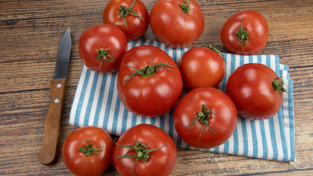 tomate redondo variedades de tomate