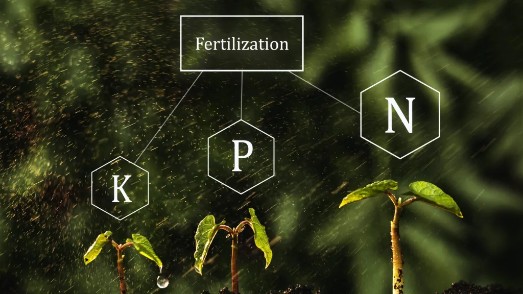 nutrientes essenciais para as plantas