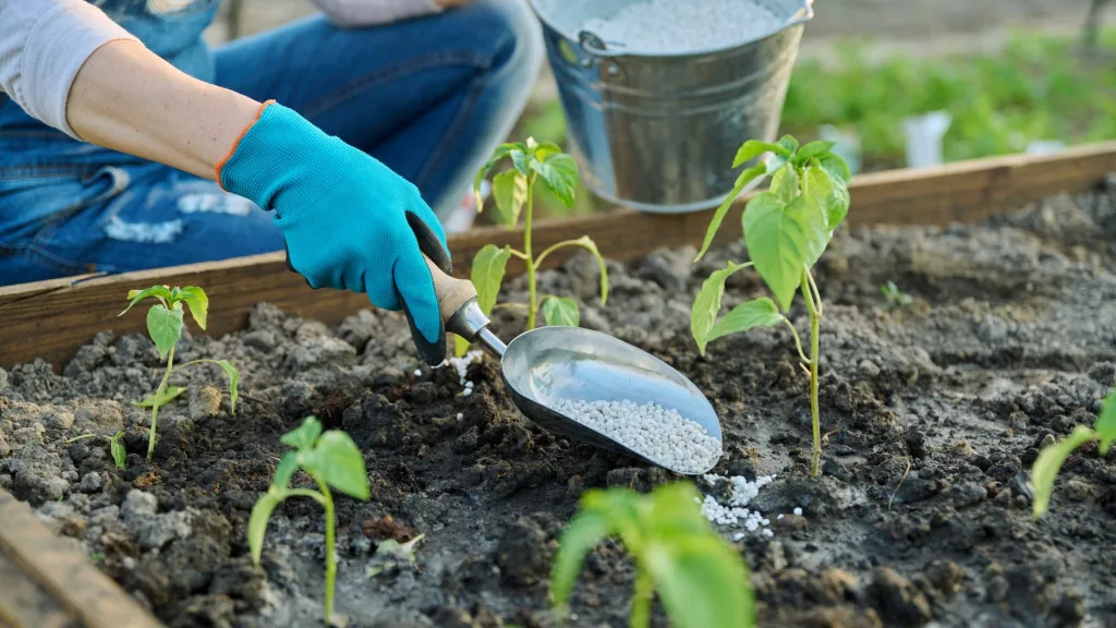 como nutrir as plantas adubos npk