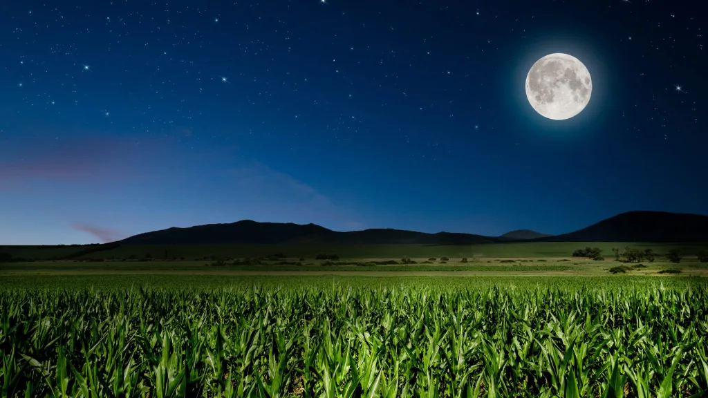 a influência da lua na agricultura