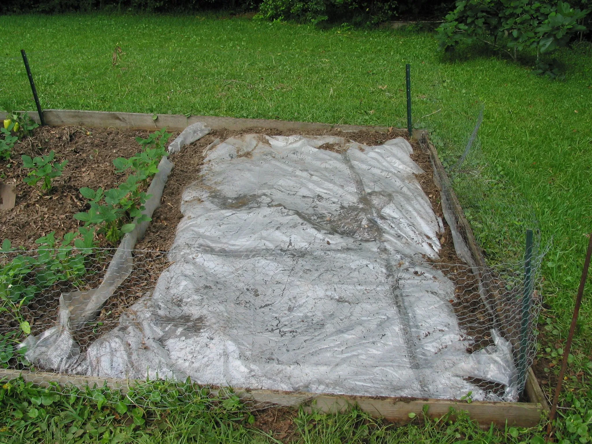 Image Source:https://www.aces.edu/blog/topics/lawn-garden/soil-solarization-for-control-of-nematodes-soilborne-diseases/