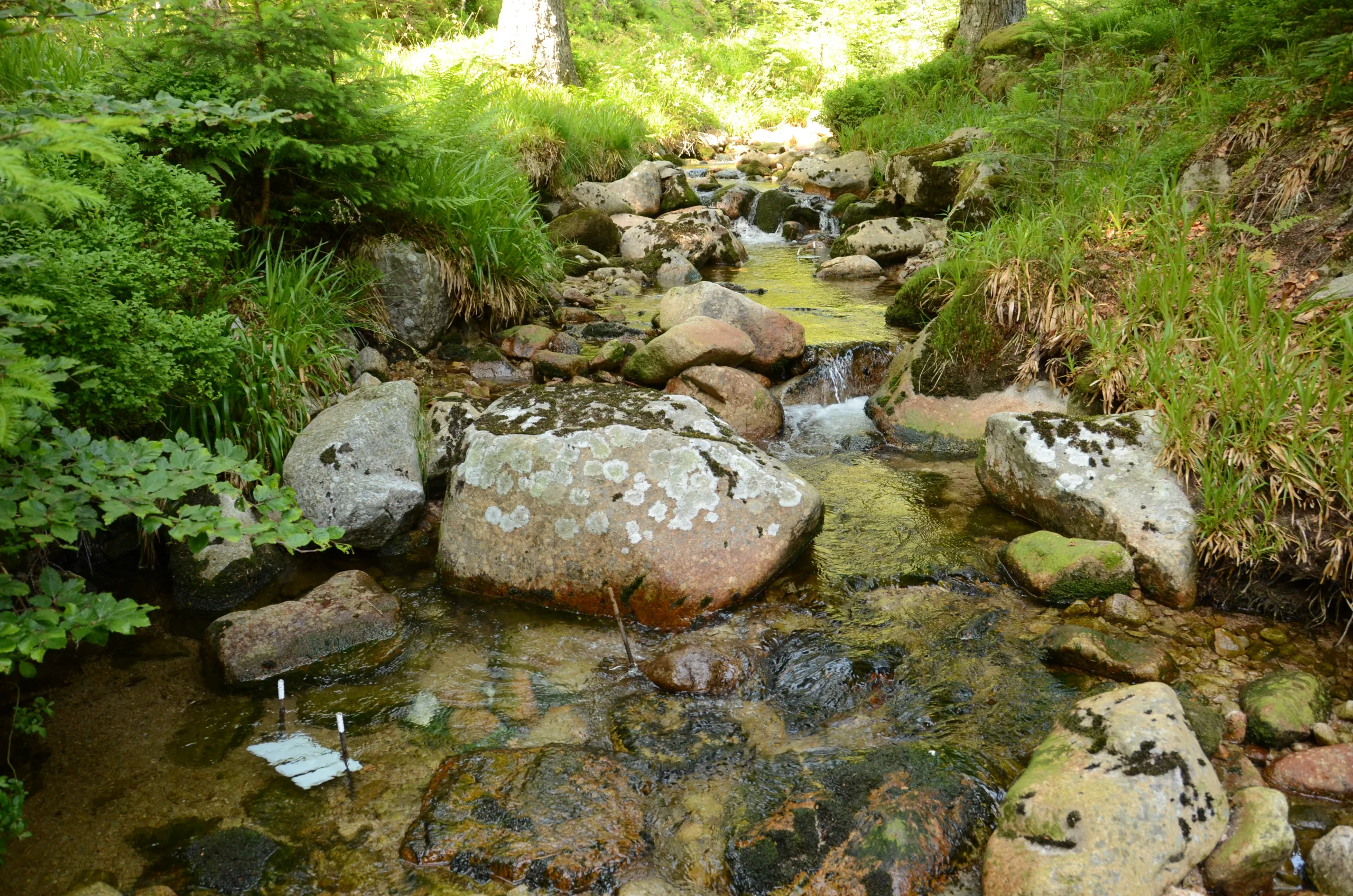 Estudo da Science alerta para a necessidade de redução do impacto humano nos ecossistemas aquáticos