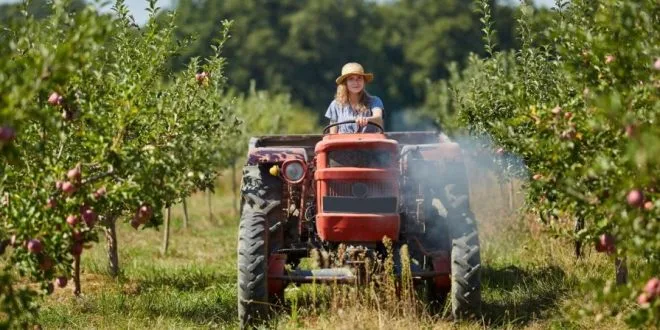 Empowering Women in Agrifood procura mulheres empreendedoras. Candidaturas até 24 de Maio