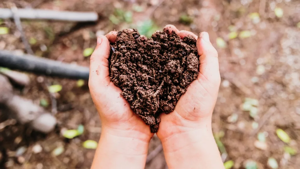 como melhorar a fertilidade do solo