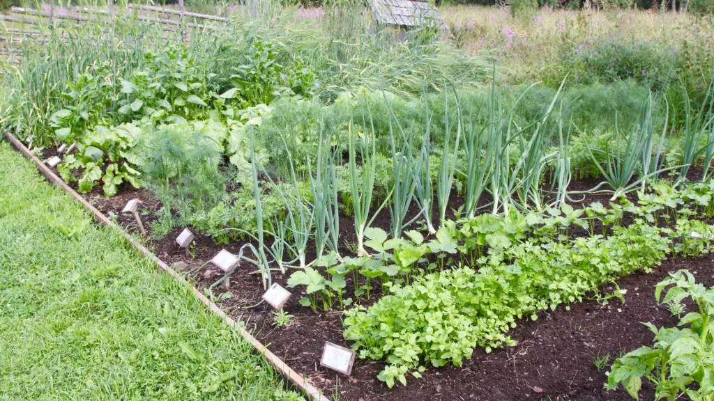 culturas para hortas pequenas