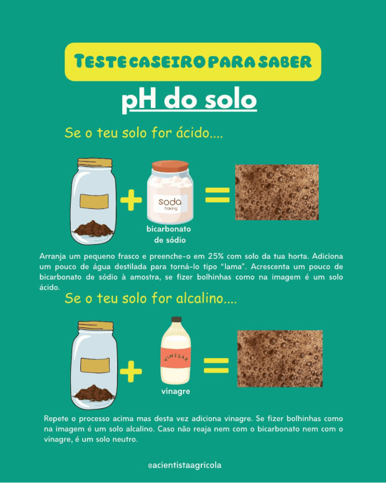 O Ph Do Solo Ideal Para As Culturas Como Medir E Corrigir