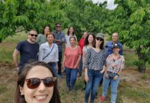 Estudo identifica pela primeira vez estirpes de bactéria que afeta gravemente várias culturas agrícolas em Portugal