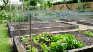 escolher espaço para horta