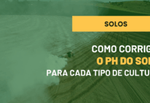 Como Corrigir o pH do Solo para Cada Tipo de Planta