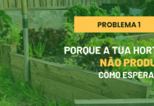 Porque é que a tua horta não dá o que esperavas (mesmo com todos os cuidados)