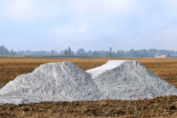 Gesso agrícola no solo: para que serve, quando usar e erros a evitar