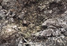 O que é a correção do solo e como afeta a produção