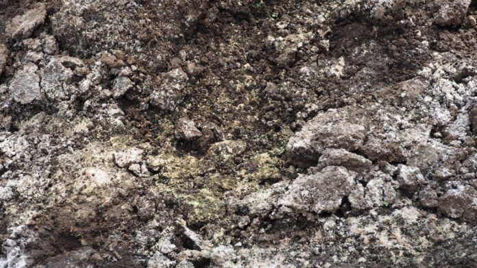 O que é a correção do solo e como afeta a produção