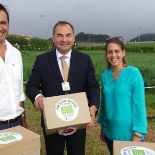 Área de agricultura biológica nos Açores aumenta 560% entre 2019 e 2023