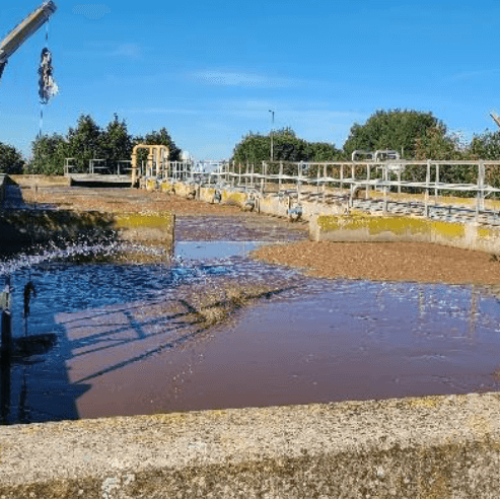 Projeto cria primeira quinta na Europa que utiliza águas residuais para a criação de peixe e vegetais