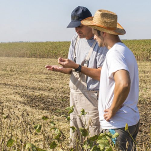 OPORTUNIDADE: Técnico Comercial (Setor Agrícola) M/F