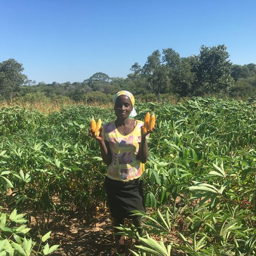 Tetra Pak colabora com CODESPA para fortalecer segurança alimentar em Angola