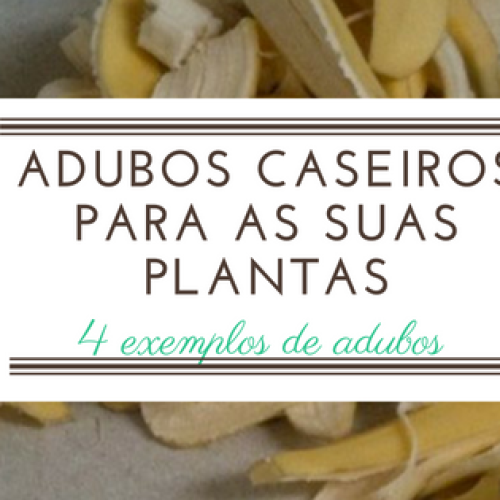 Aprenda a fazer o seu próprio adubo caseiro! 5 dicas de adubos que pode fazer