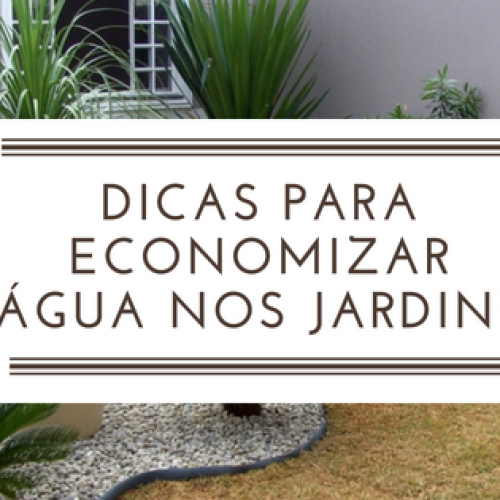 5 dicas para economizar água no jardim