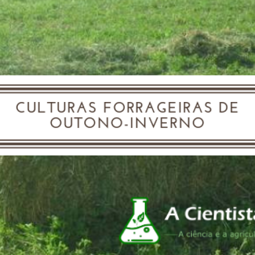 Tudo o que deve saber sobre as culturas forrageiras  de Outono-Inverno