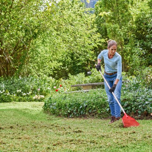 Prepare o seu relvado para a chegada da primavera