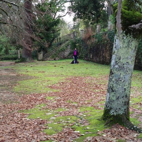 Estudo revela a biodiversidade escondida nos espaços verdes urbanos