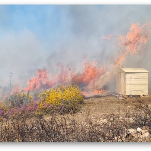 UC apresenta abordagem inovadora para a segurança e resiliência do ambiente construído face a fogos nas zonas de interface urbana florestal