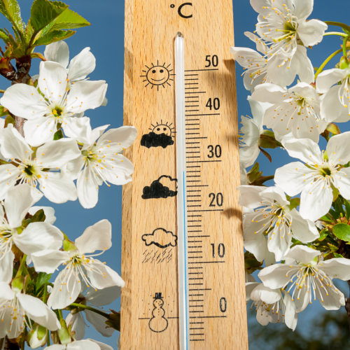 Saiba como proteger as culturas das altas temperaturas com soluções práticas