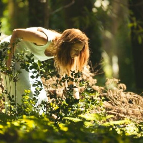 Três razões para ‘dar um mergulho’ nos banhos de floresta