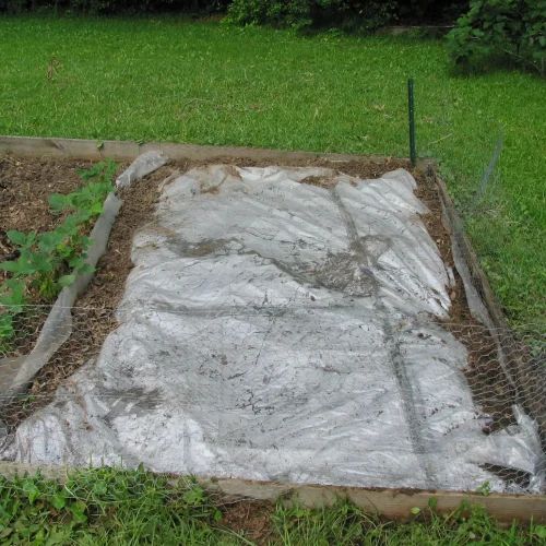 Image Source:https://www.aces.edu/blog/topics/lawn-garden/soil-solarization-for-control-of-nematodes-soilborne-diseases/