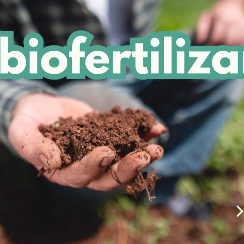 Saiba como transformar o seu solo e aumentar a  sua colheita com biofertilizantes