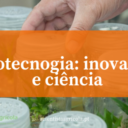 BIOTECNOLOGIA: esmiuçando este setor que parece estar na moda