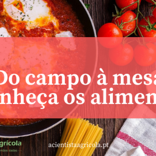 Rastreabilidade nos alimentos: conheça um produto do campo à mesa