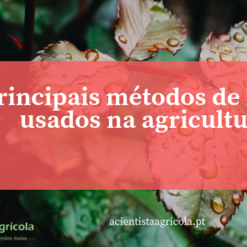 Principais métodos de rega utilizados na agricultura