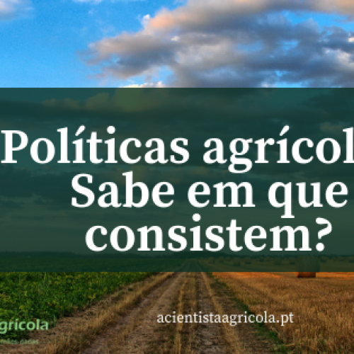 Políticas agrícolas: conceitos, apoios e programas que deve conhecer