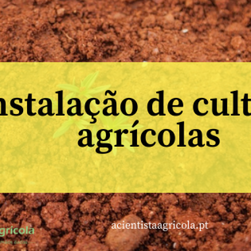 4 passos simples para aprender a instalar uma cultura agrícola