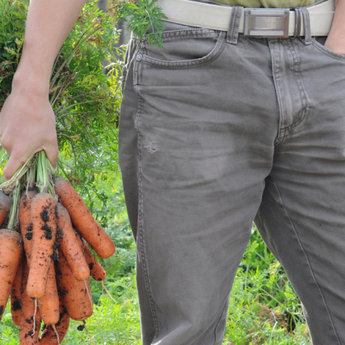 Governo quer instalar 2.700 jovens e novos agricultores com Plano Estratégico da PAC