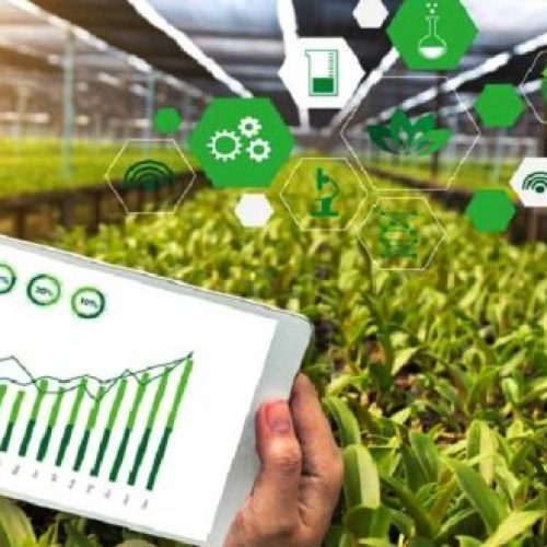 Relatório aponta tendências agroalimentares para 2023