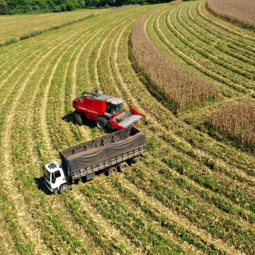 Extinção das direções regionais de agricultura gera onda nacional de protestos e manifestações