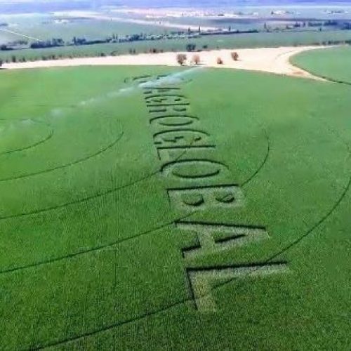 AgroGlobal no CNEMA? “Vamo-nos juntar para evitar que a AgroGlobal caia nas mãos erradas”. Petição em curso a defender a Feira em pleno campo