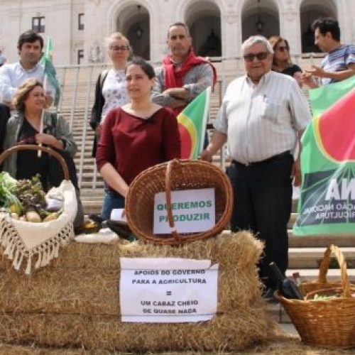 CNA: apoios voltam a excluir pequenos agricultores e produções afectadas pela seca